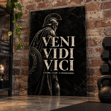 Veni Vidi Vici