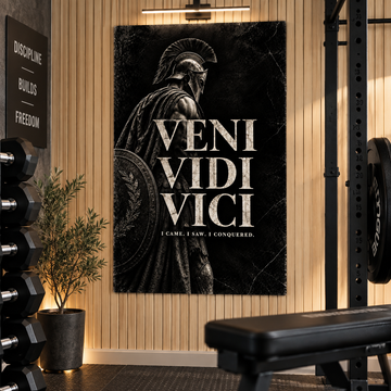 Veni Vidi Vici